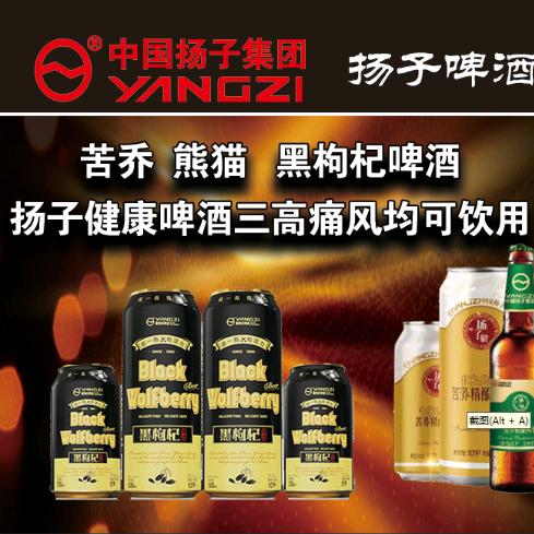 扬子集团总代理