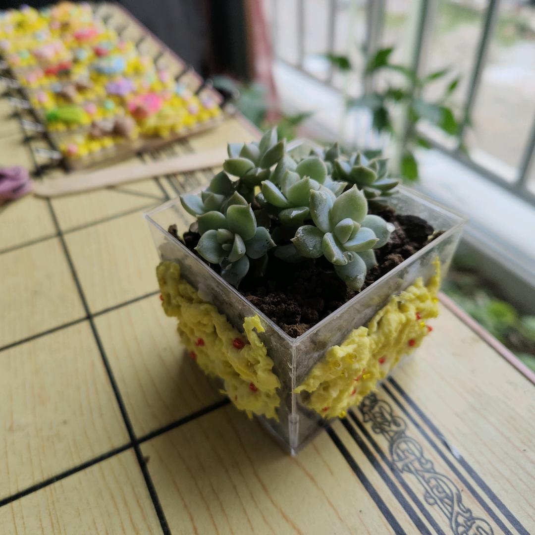 王歌