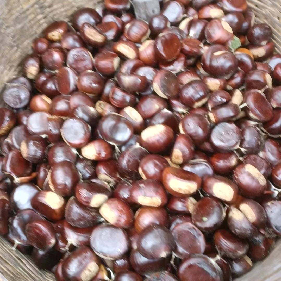 昆明市西山区唐贵平水果店