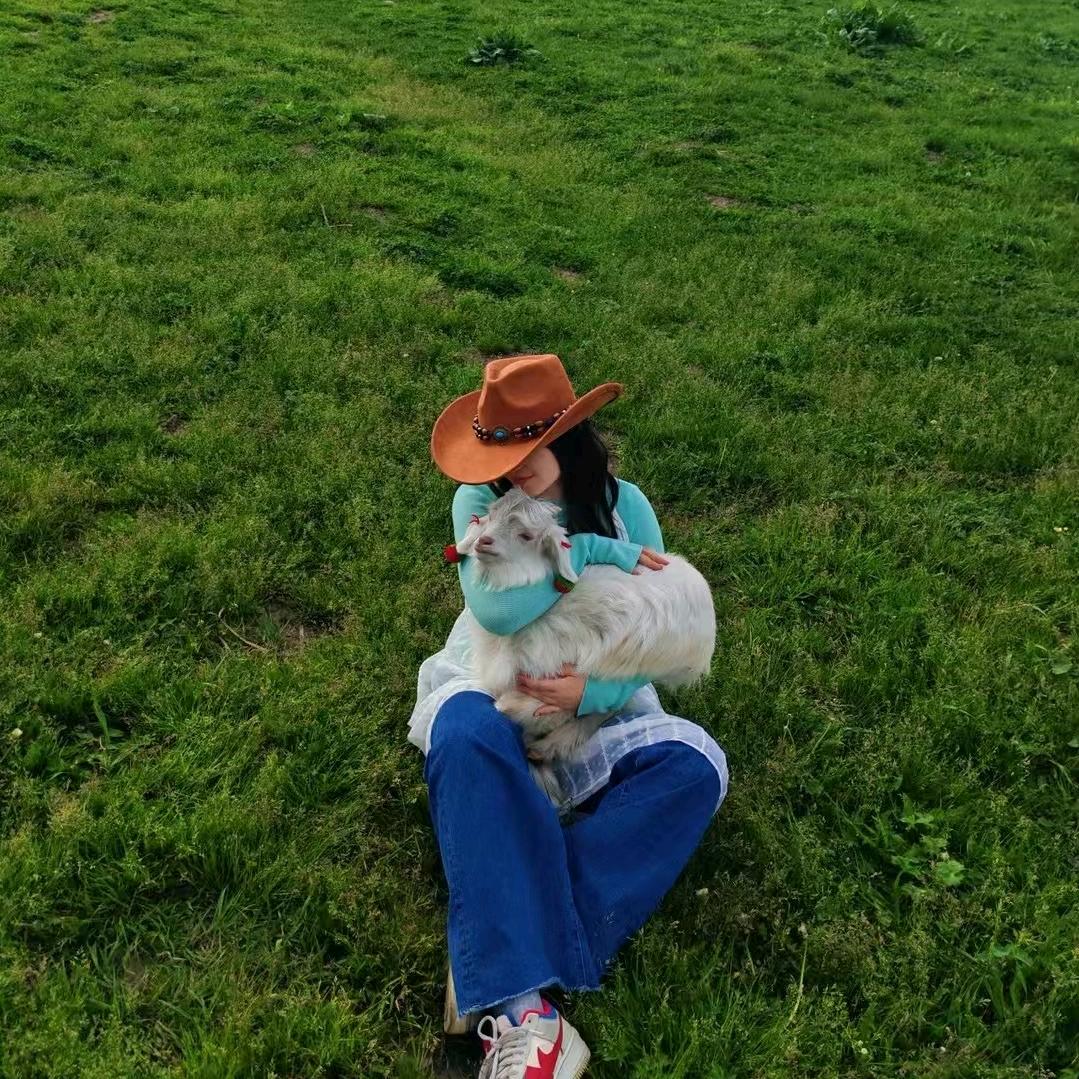 新疆旅游（精品小团）