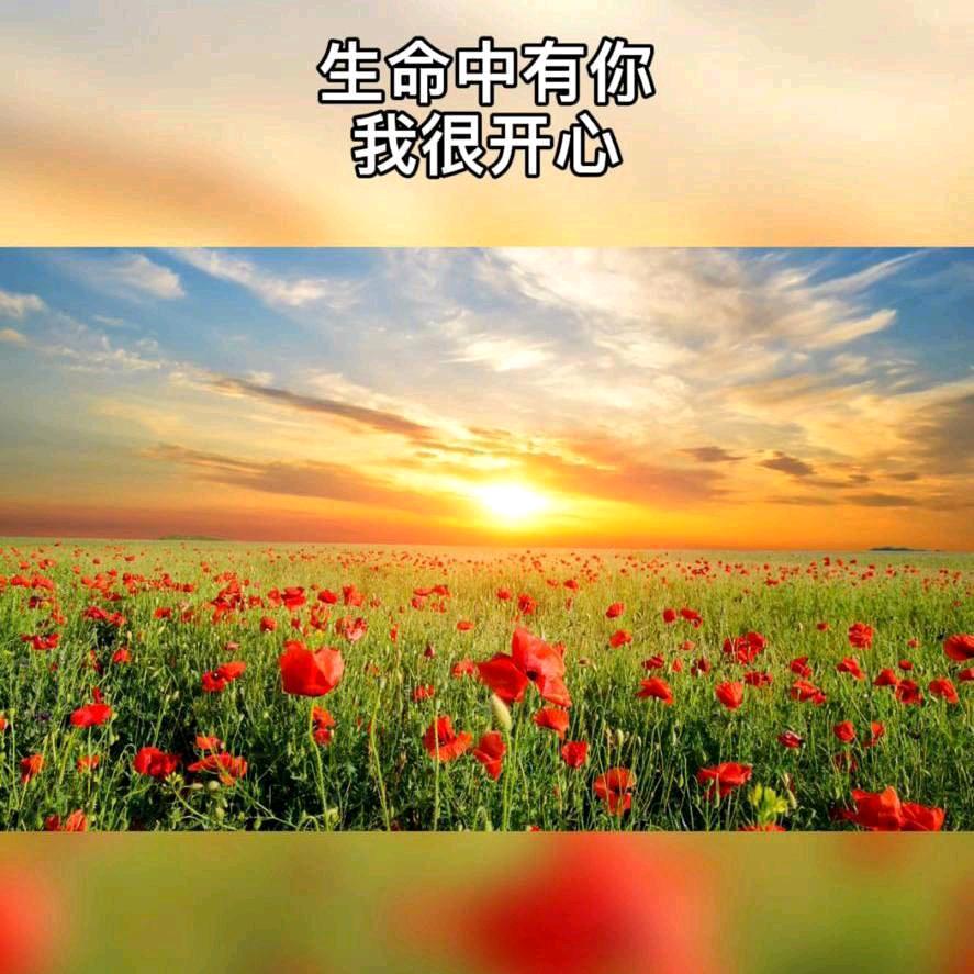 (从心๑♡⌓♡๑开始)