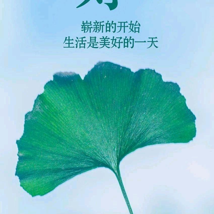 努力前行🌹