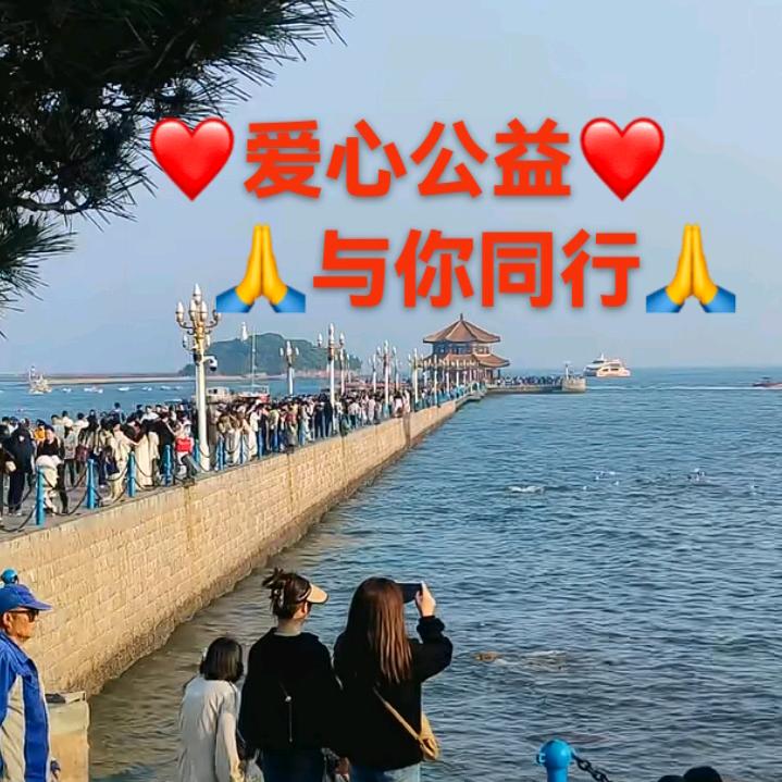 🇨🇳爱公益🌹传正义👍