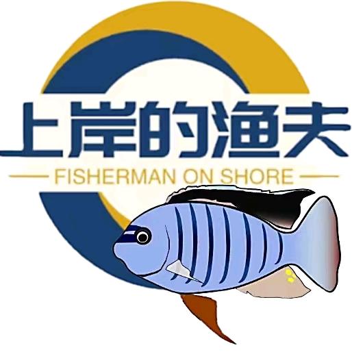 赛立德大豫水族店