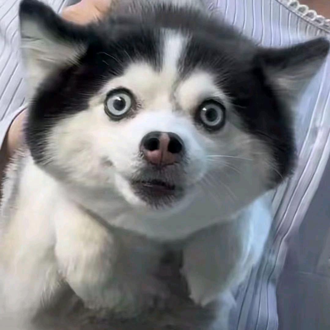 ANLM（三角洲行动）