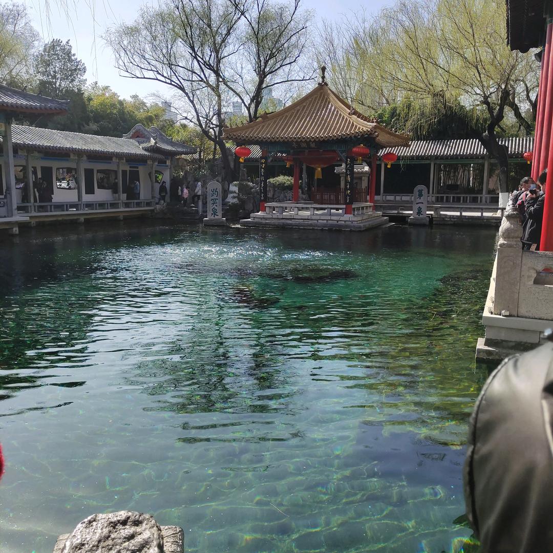 辽阳市辉安旋综合严选店