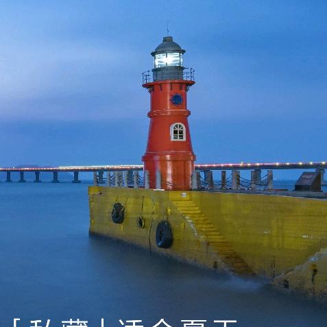 苗泽东
