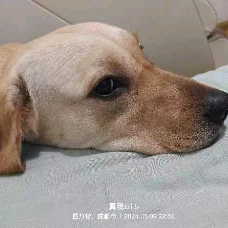 辉姐