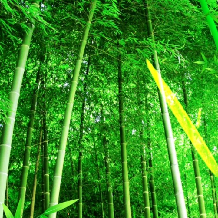 季节