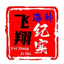 飞翔海外纪实