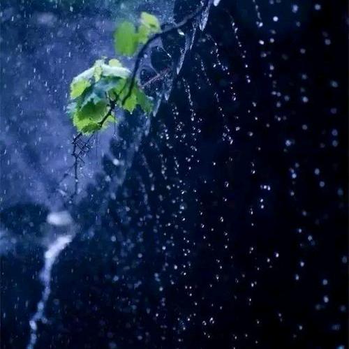 不变的承诺