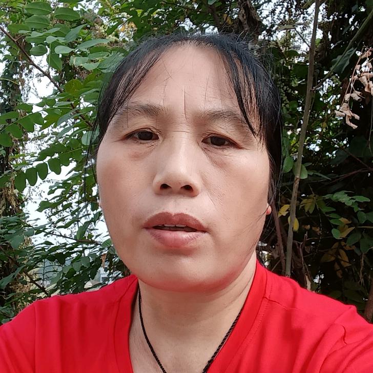 邹明琴，每天11点10：开播