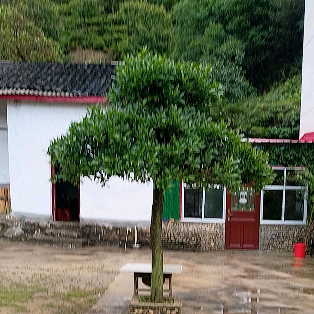 凤姐农家菜，地锅饭.1823765848