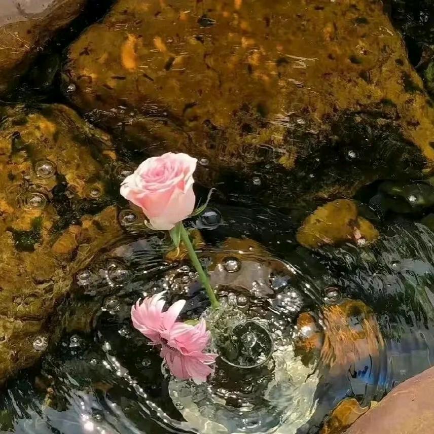 小可艾