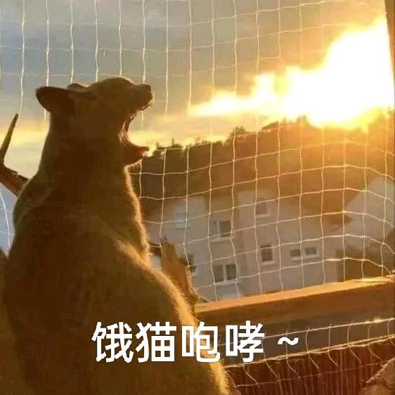 硬核狠人