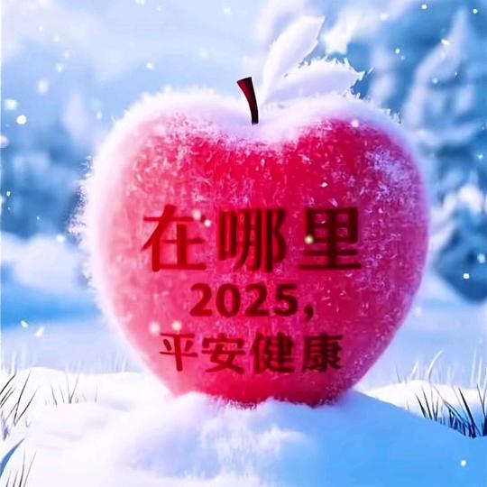 2025一路长虹🍎🌹