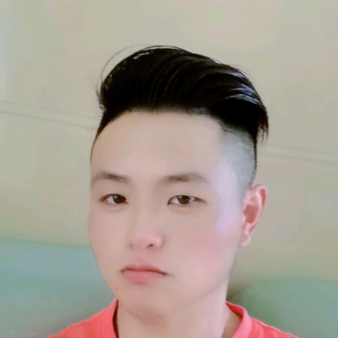 车标