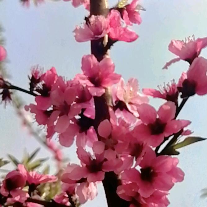 板一优选仓