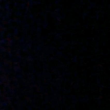 L__