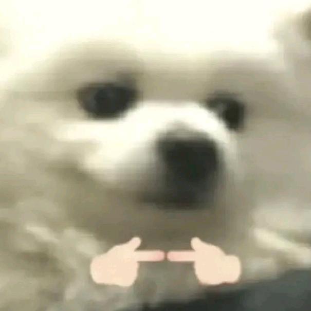 爱吃栗子小李（溧阳分李）