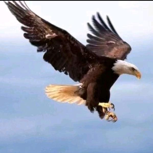 逍遥自在吾逍遥