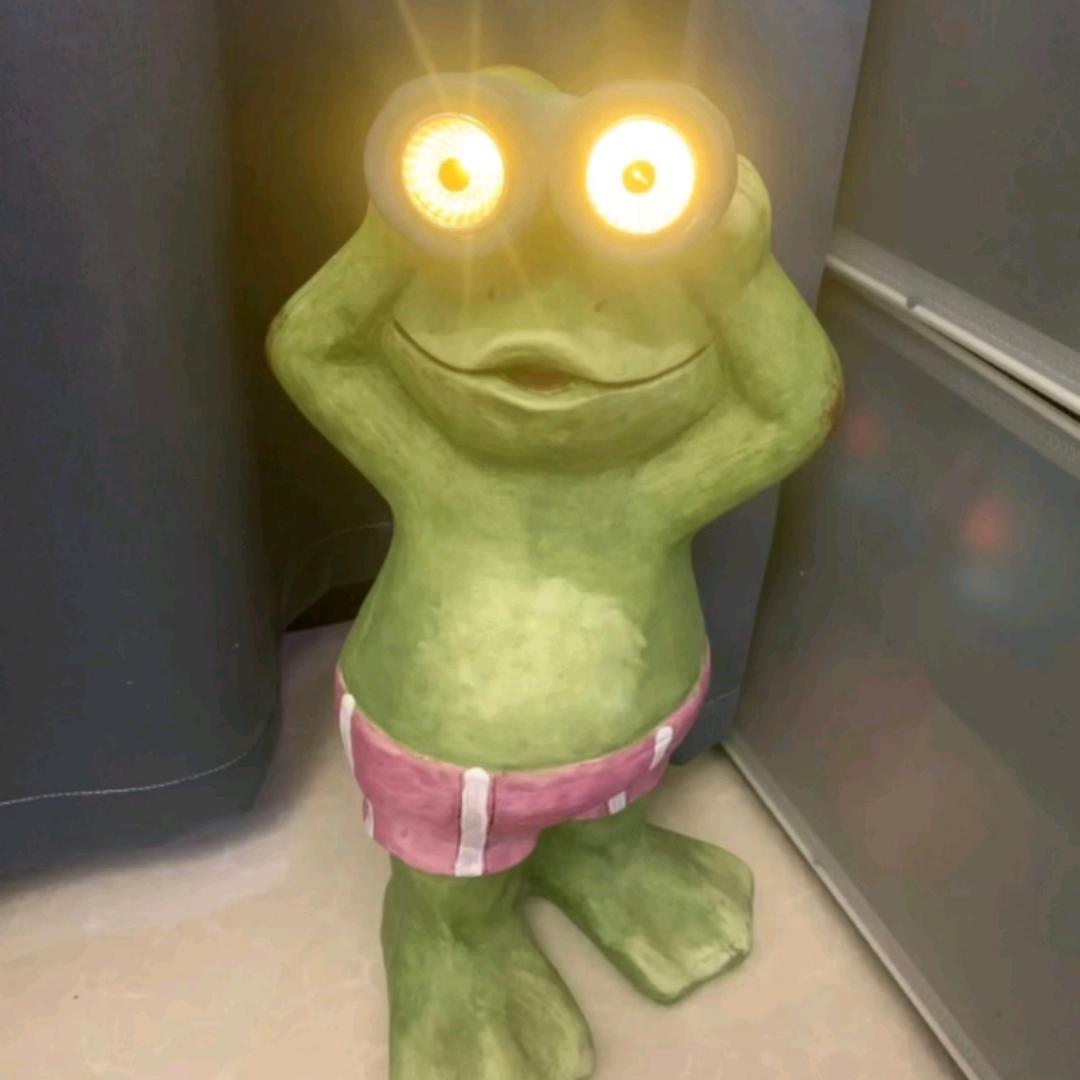 🌈花花的的世界