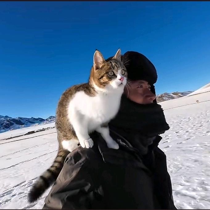 五月🐱