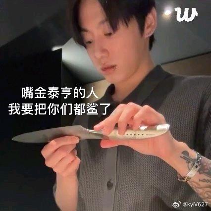 一只95小猪（被女神翻牌版）