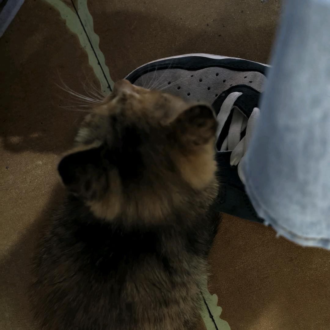 醒醒