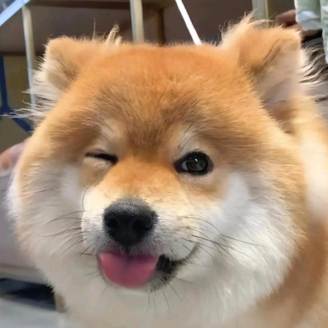 凯富老水头
