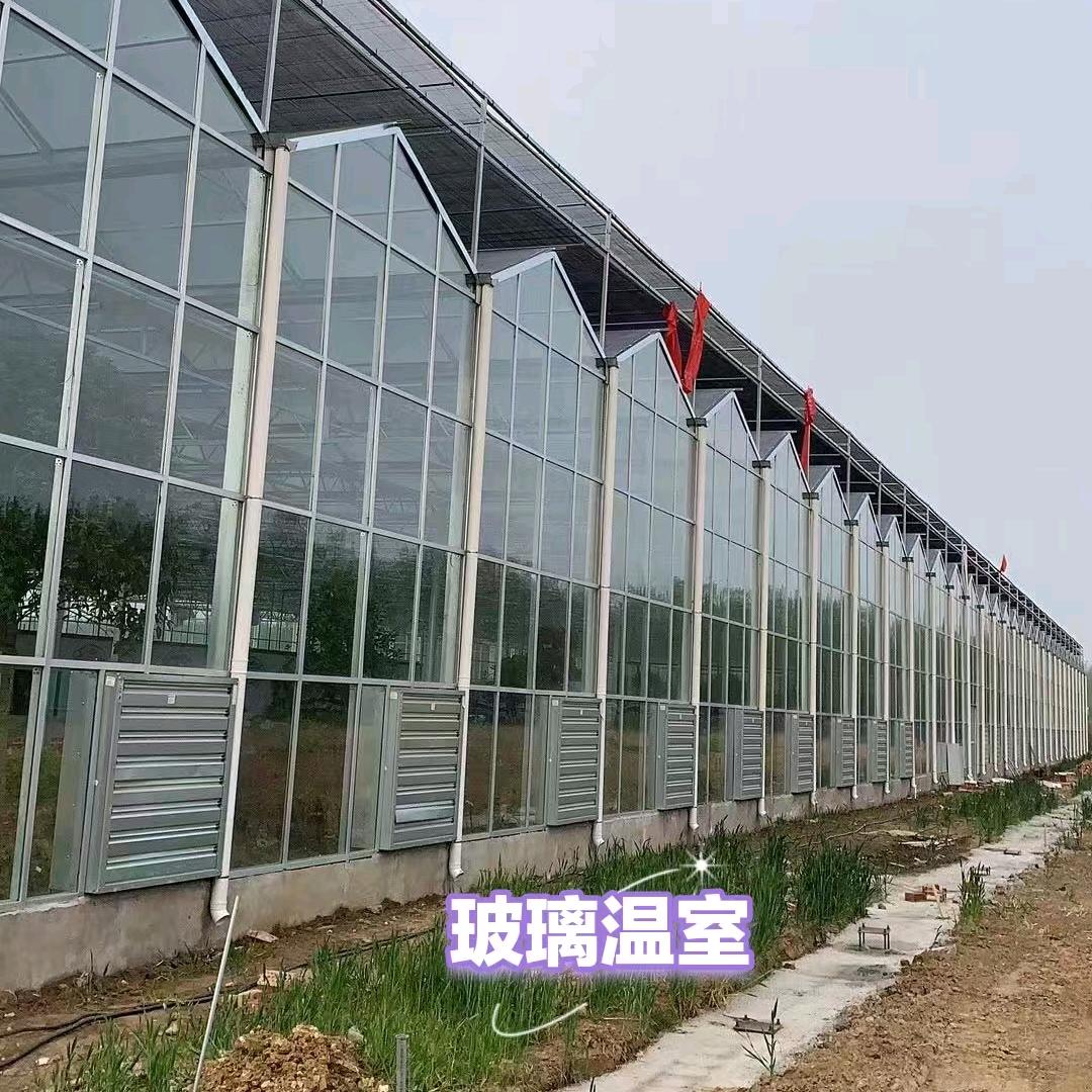 温室大棚生产厂家