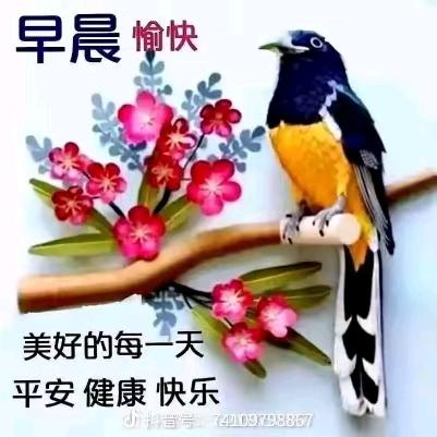 乔家大院