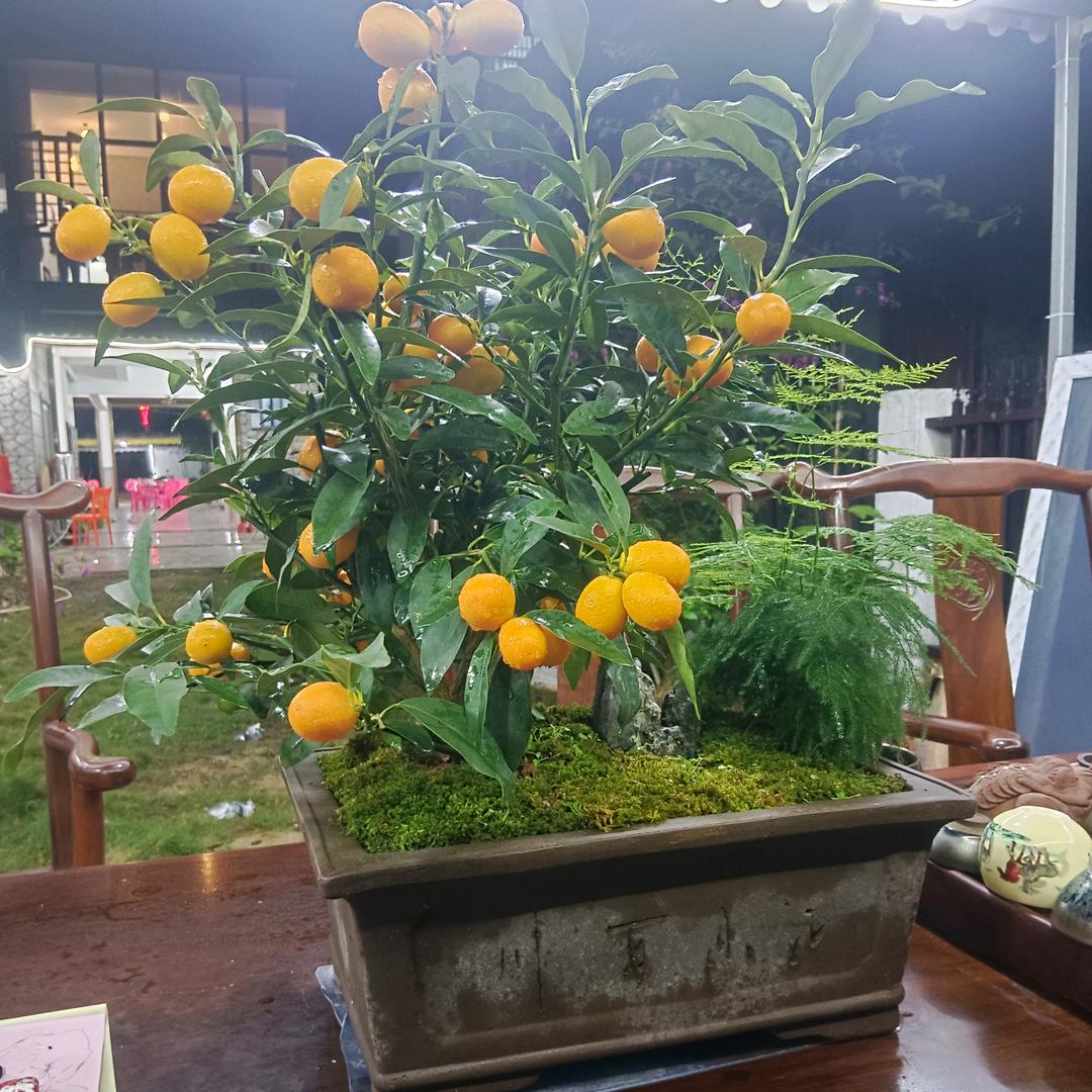 柠香源（老何饭店）