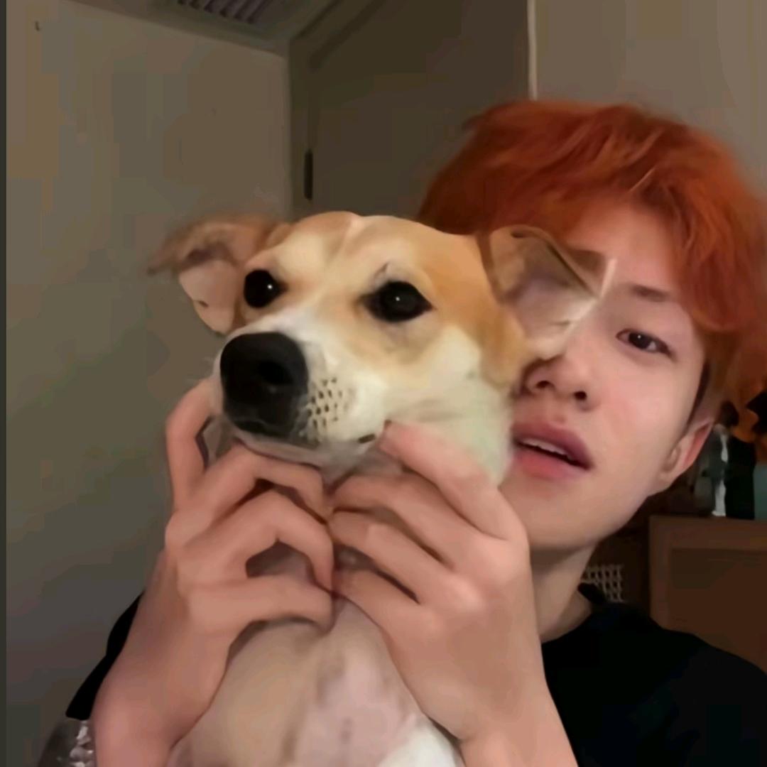 嘟嘟嘟嘟嘟🌾（见过十勤版）