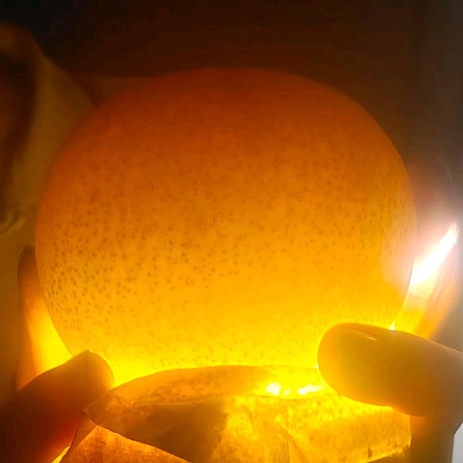 华仔爱种植🇨🇳