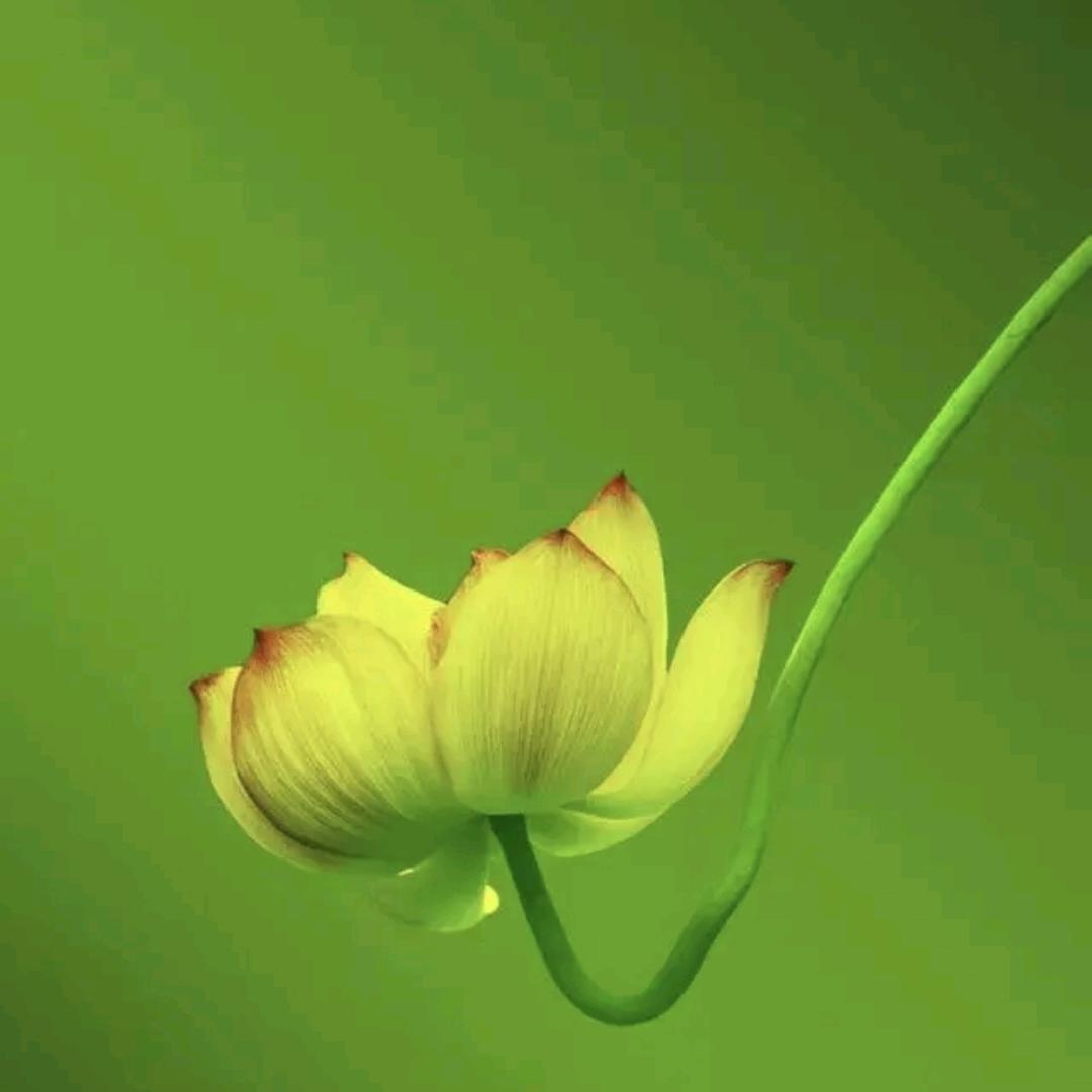 昌利