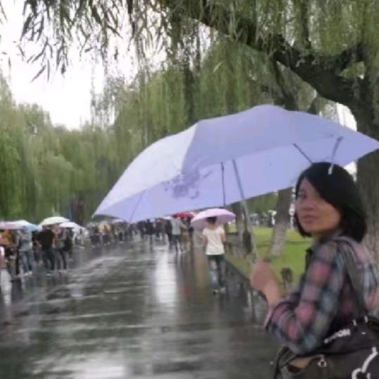 小崔杂谈
