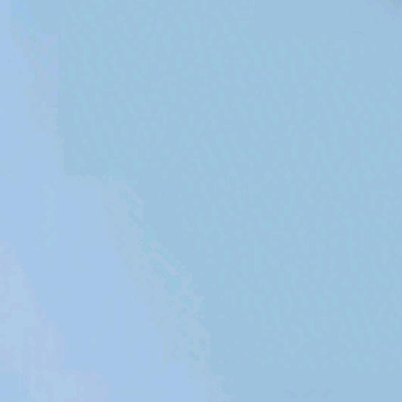 一季飘零，一季浅舞