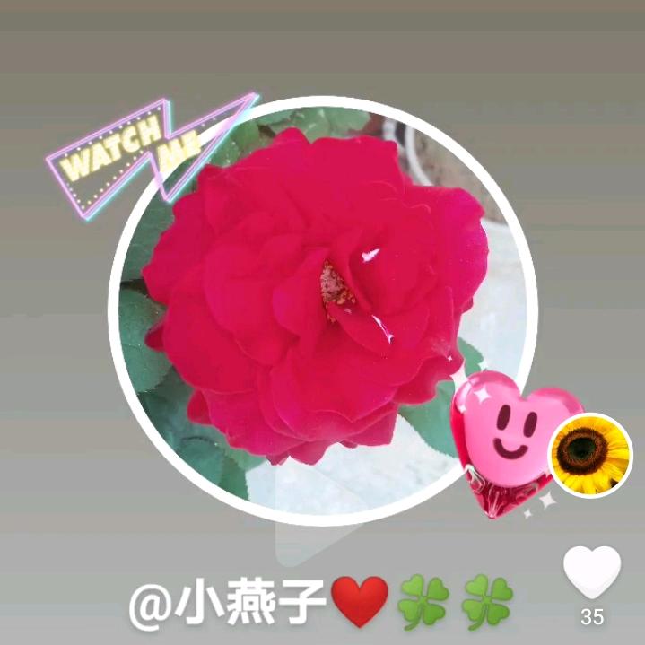 小辣椒😂🌶🌶