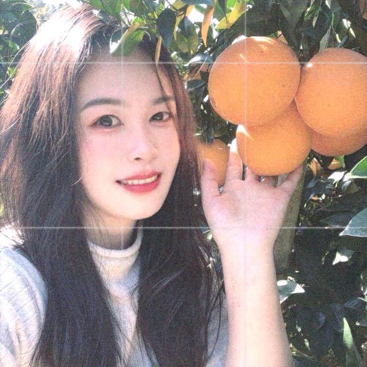 彩虹之约