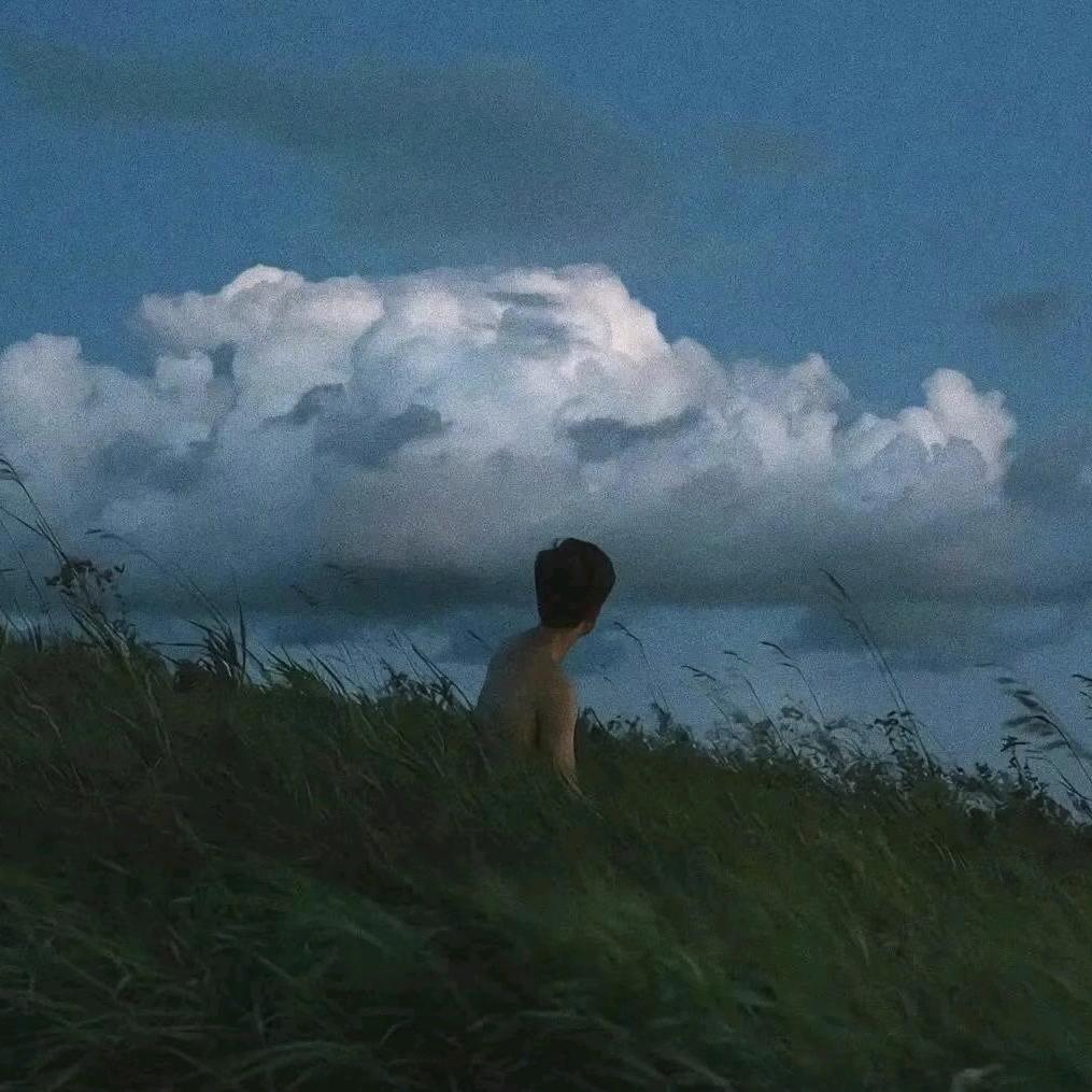 十一🍃