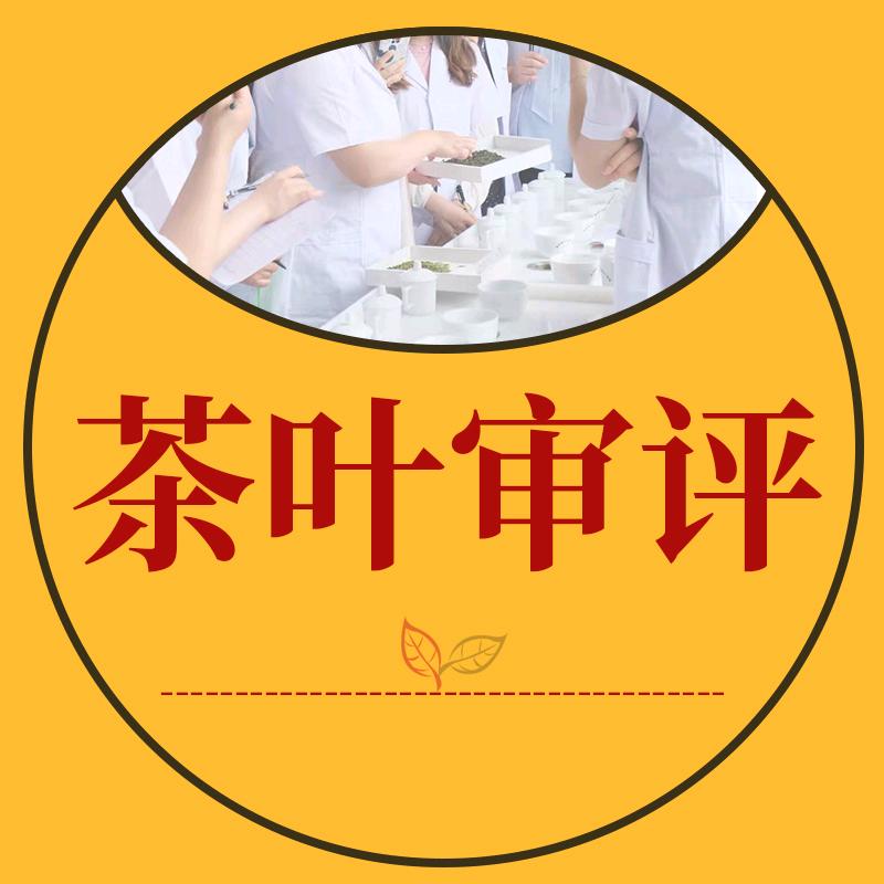 茶叶审评