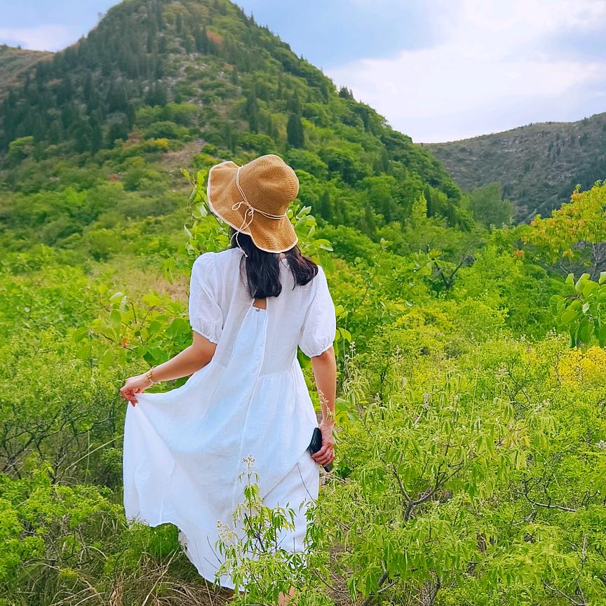 北北夏天不画画