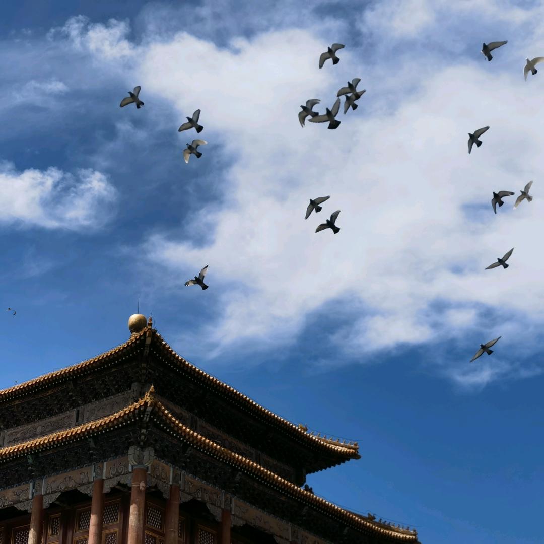 朱芃旭