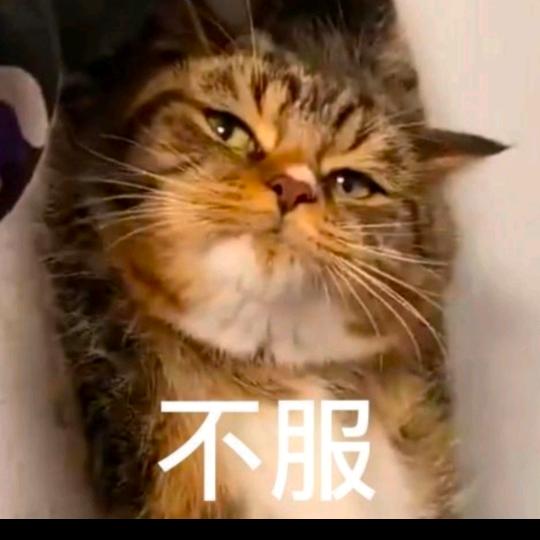 安宁阁—圥 忈