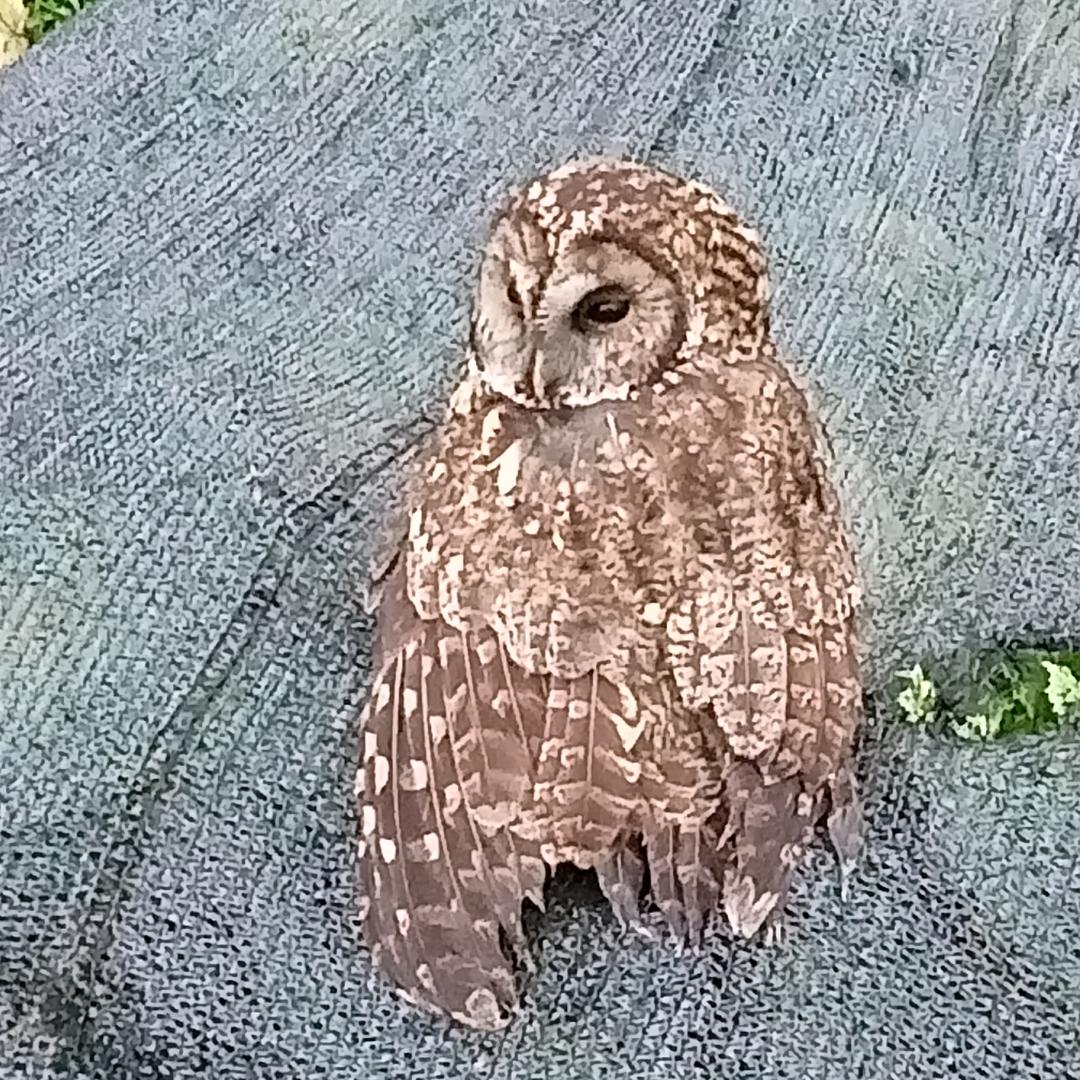 好好珍惜身边的人