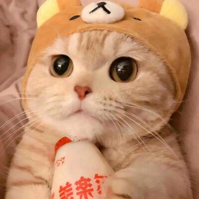 大大大白吖
