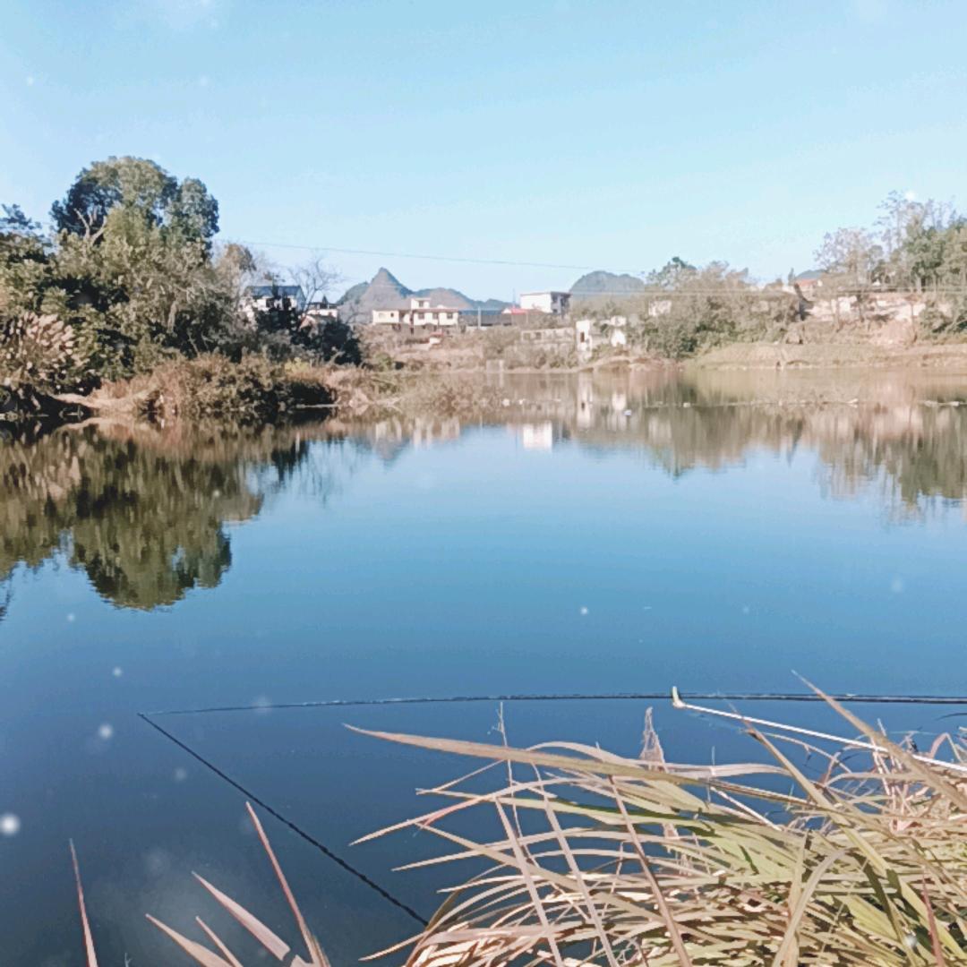 湘西龙哥