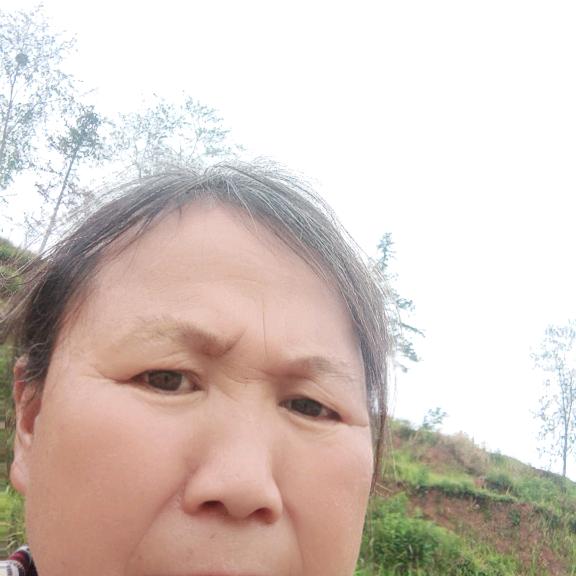 一帆风顺／(\\：づ ●─● )づ