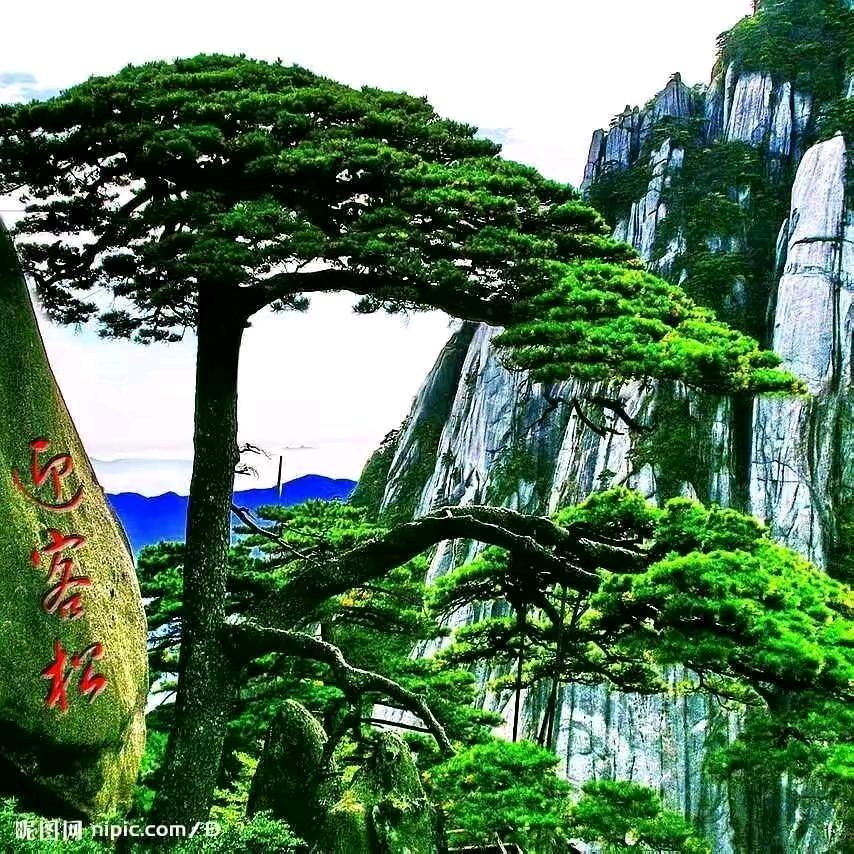 二明爷爷